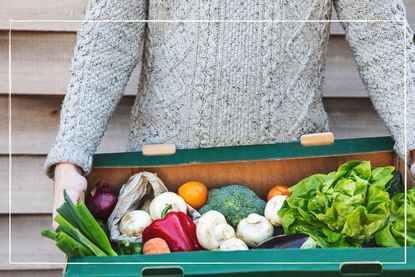 A person wearing a wool jumper and holding a box of organic vegetables
