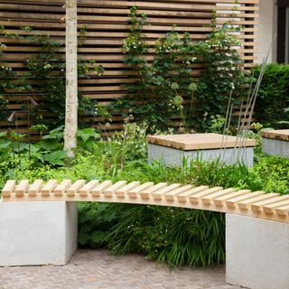 Wooden garden bench with concrete legs in a garden full of plants