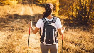 a photo of a woman walking with poles