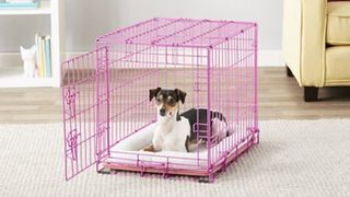 Pink dog crate with small dog sat inside