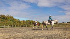 Health of riding establishments survey