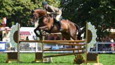 Justine Armstrong-Small rides Carlingfords King in a working hunter class