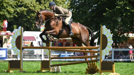 Justine Armstrong-Small rides Carlingfords King in a working hunter class