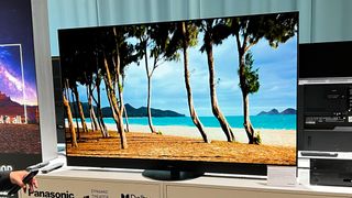 Panasonic LZ1500 TV met een beeld van palmbomen op een strand op het scherm