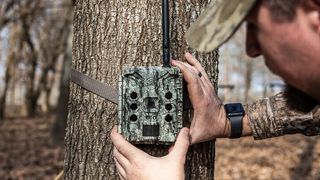 Best cellular trail cameras - man attaching a cellular camera trap to a tree