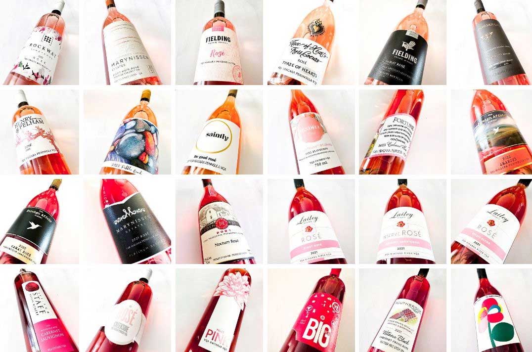 Canadian-Rose-Ontario