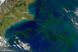 phytoplankton-bloom-new-zealand-110301-02