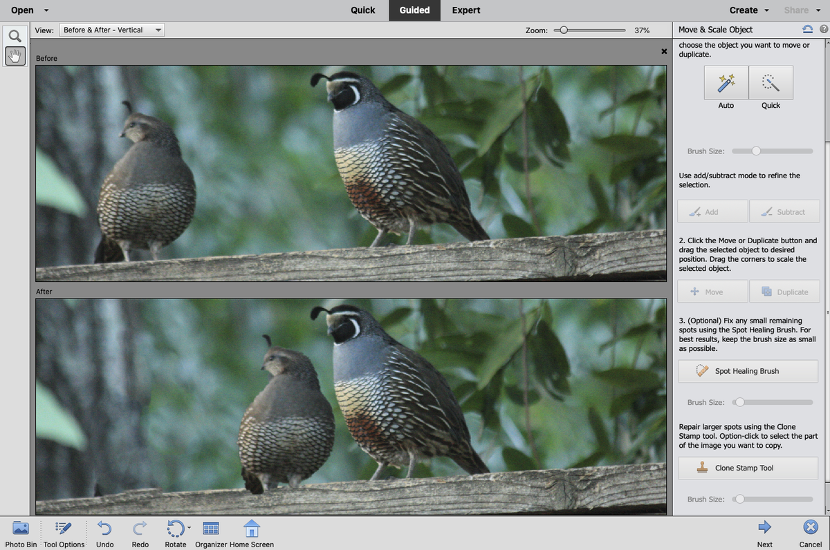 Adobe Photoshop Elements 2021 review