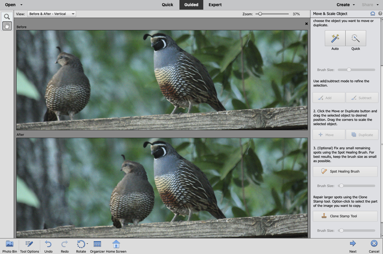 Adobe Photoshop Elements 2021 review