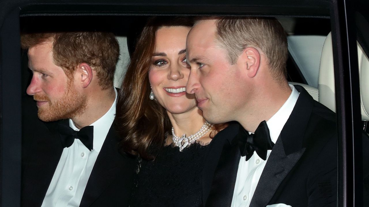 Prince Harry, Prince William and the Princess of Wales travel in a car together