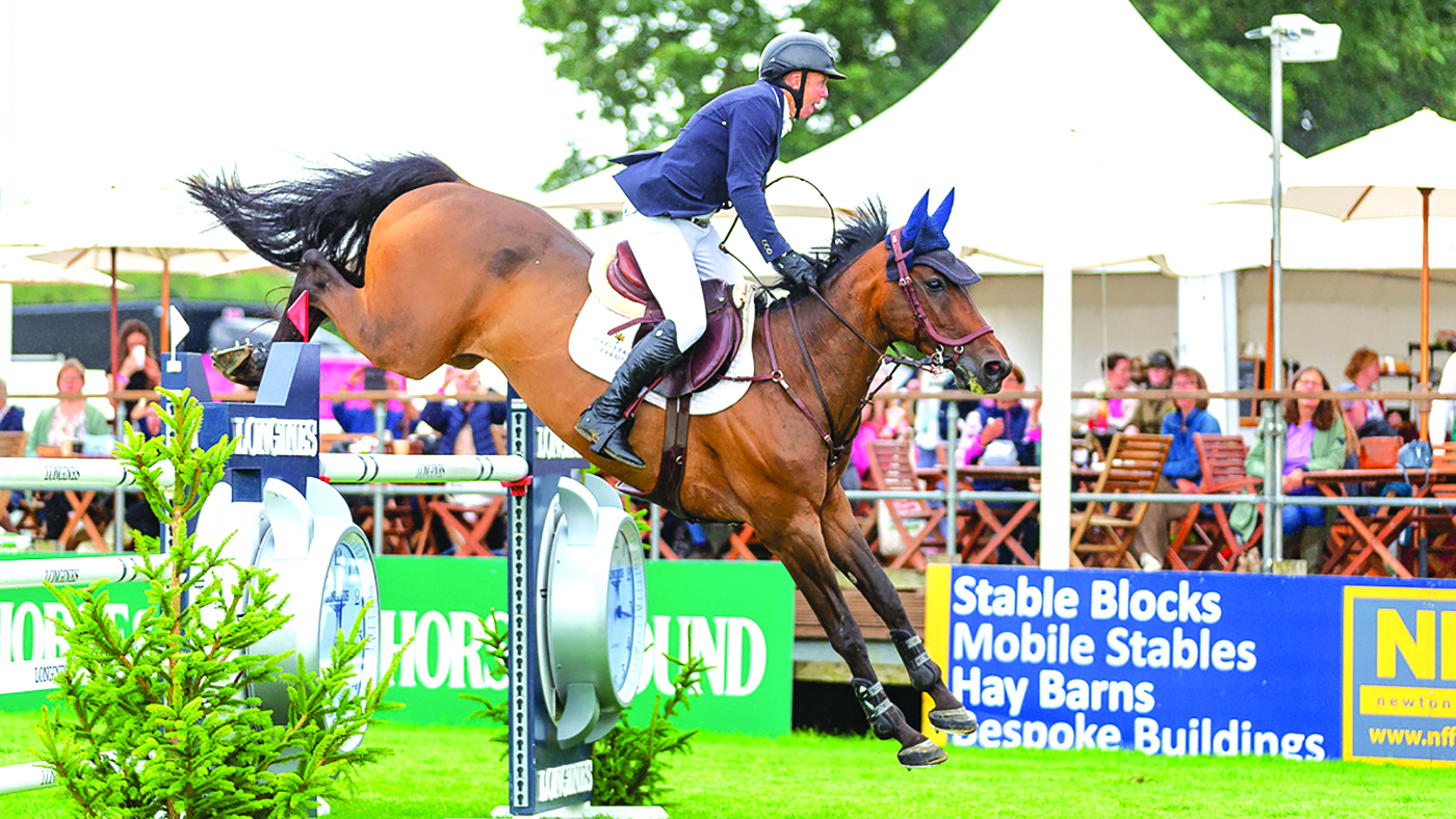 Fabrice Dn, one of Matt Sampson's top-level horses