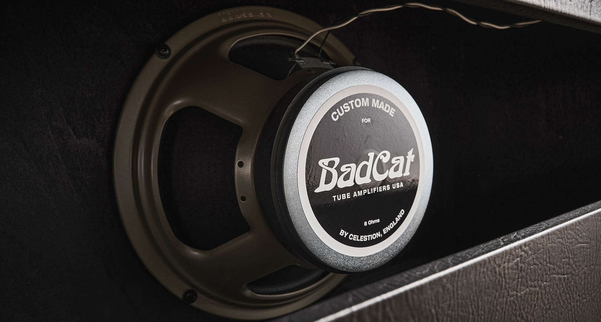 Bad Cat Era 30