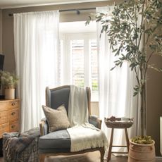 A neutral living room with a potted olive tree and a large window dressed with shutters and white voile curtains