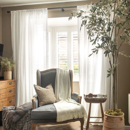 A neutral living room with a potted olive tree and a large window dressed with shutters and white voile curtains
