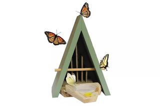 A green A-frame butterfly habitat