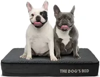 Best dog bed: Two french bulldogs sitting on The Dog’s Bed Orthopaedic Dog Bed