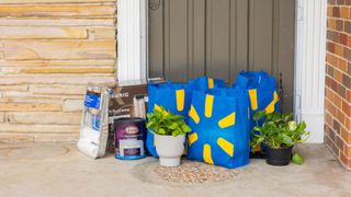 Walmart delivery shown outside front door