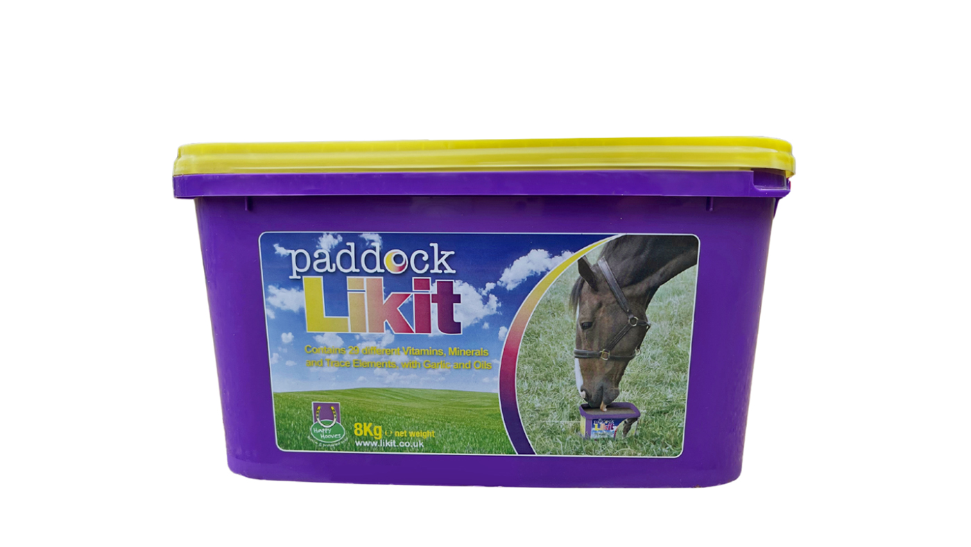 Likit Paddock Lick for horses