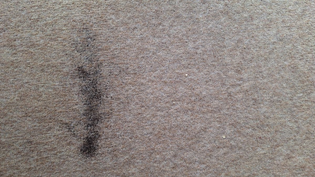 Remaining tea and oats on carpet, after a single pass with the K11+