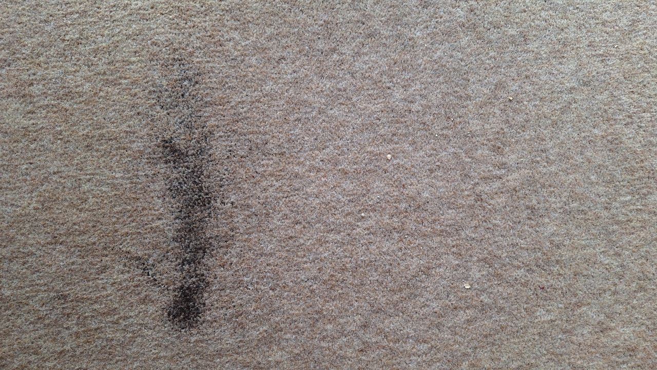 Remaining tea and oats on carpet, after a single pass with the K11+