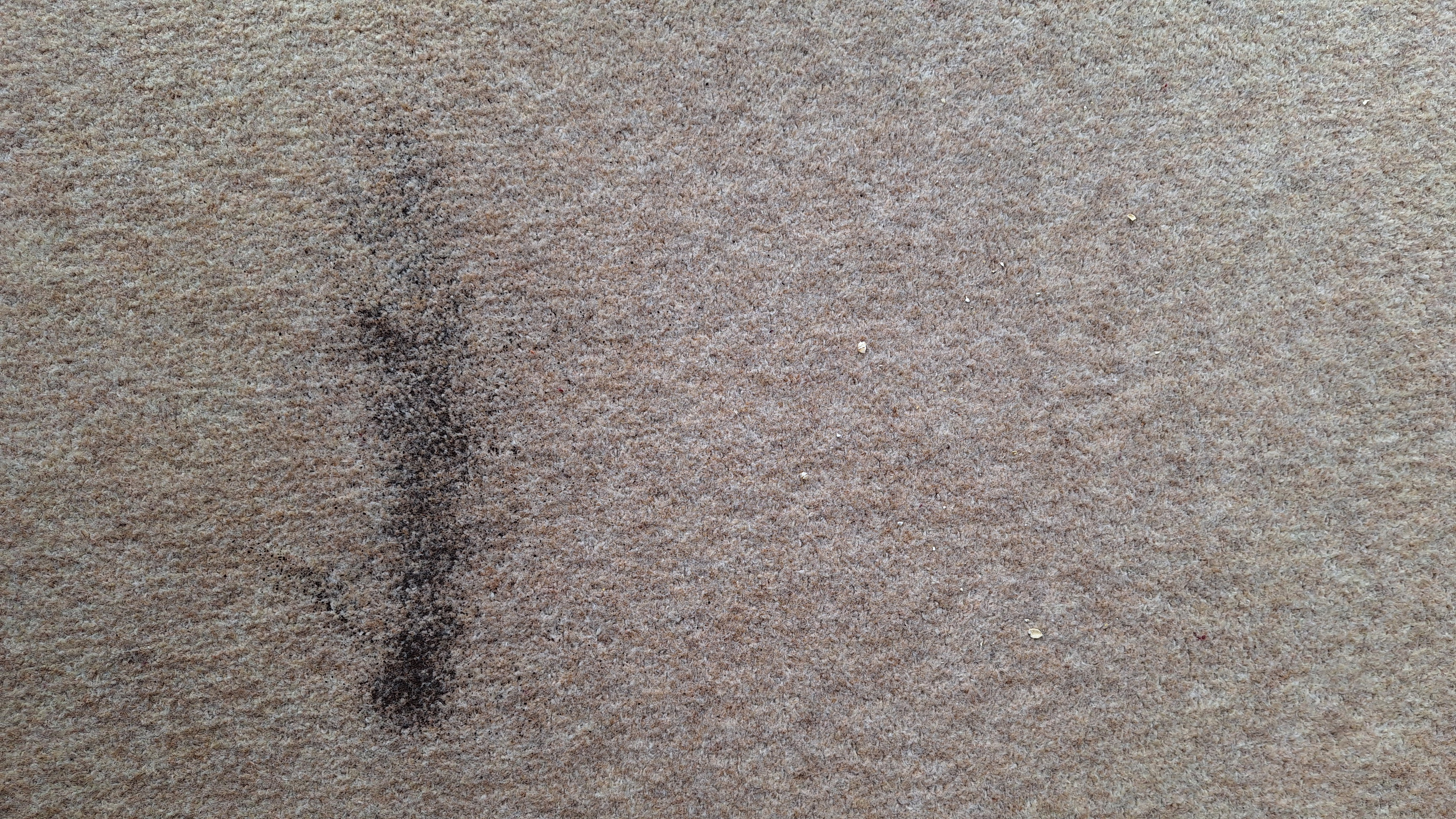 Remaining tea and oats on carpet, after a single pass with the K11+