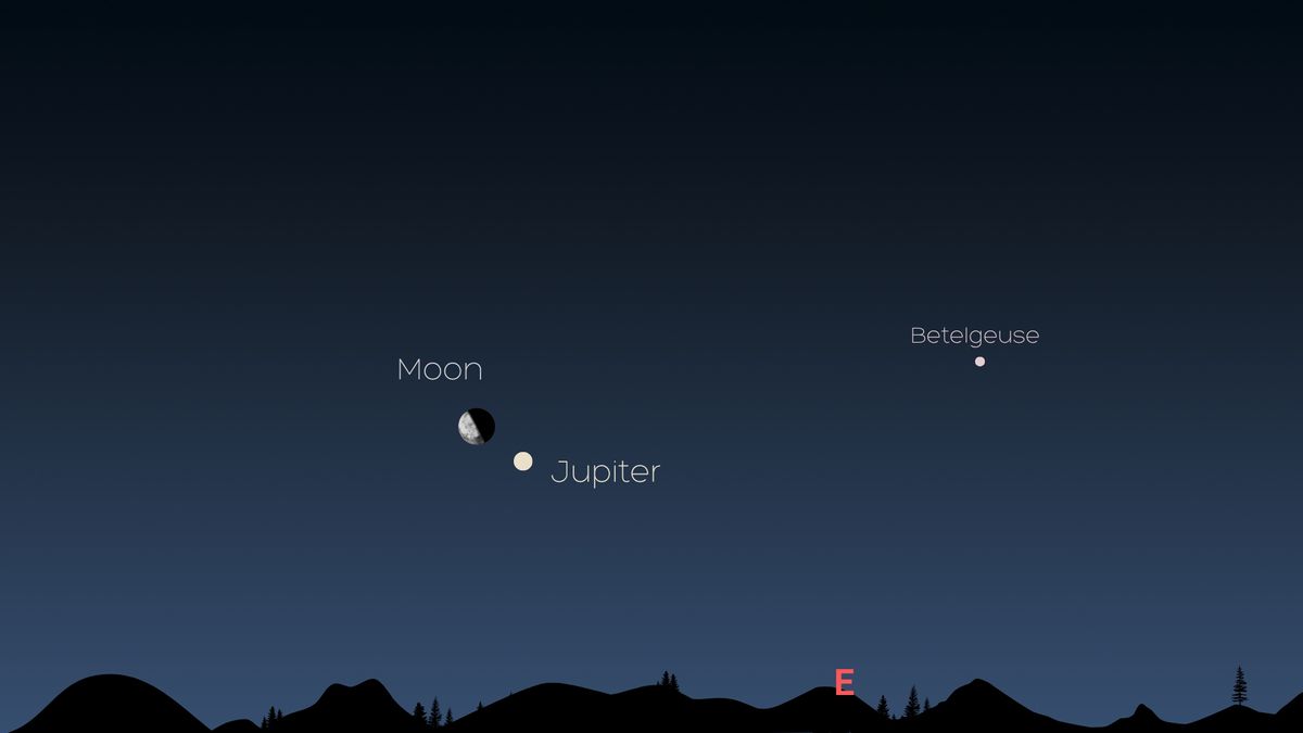 Graphic map of the night sky, showing Jupiter shining to the right below the half-illuminated Moon and Betelgeuse shining to the right of the image.
