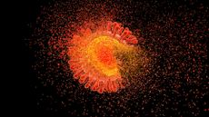 illustration of a red and orange HIV virus disintegrating against a black background
