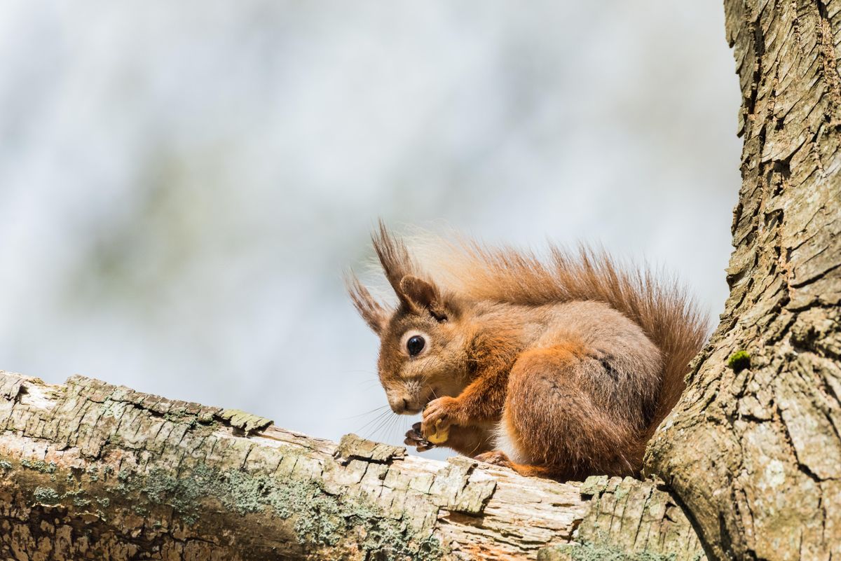 Winterwatch 2024 release date, animals locations interviews What to