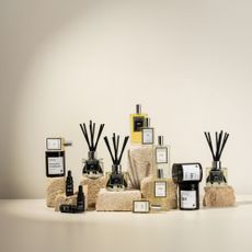 The Essence Vault fragrances on different sized limestone bricks