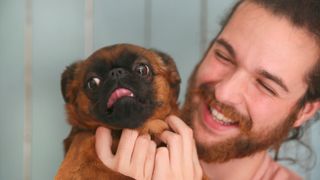 A Brussels Griffon being cuddled by smiling man