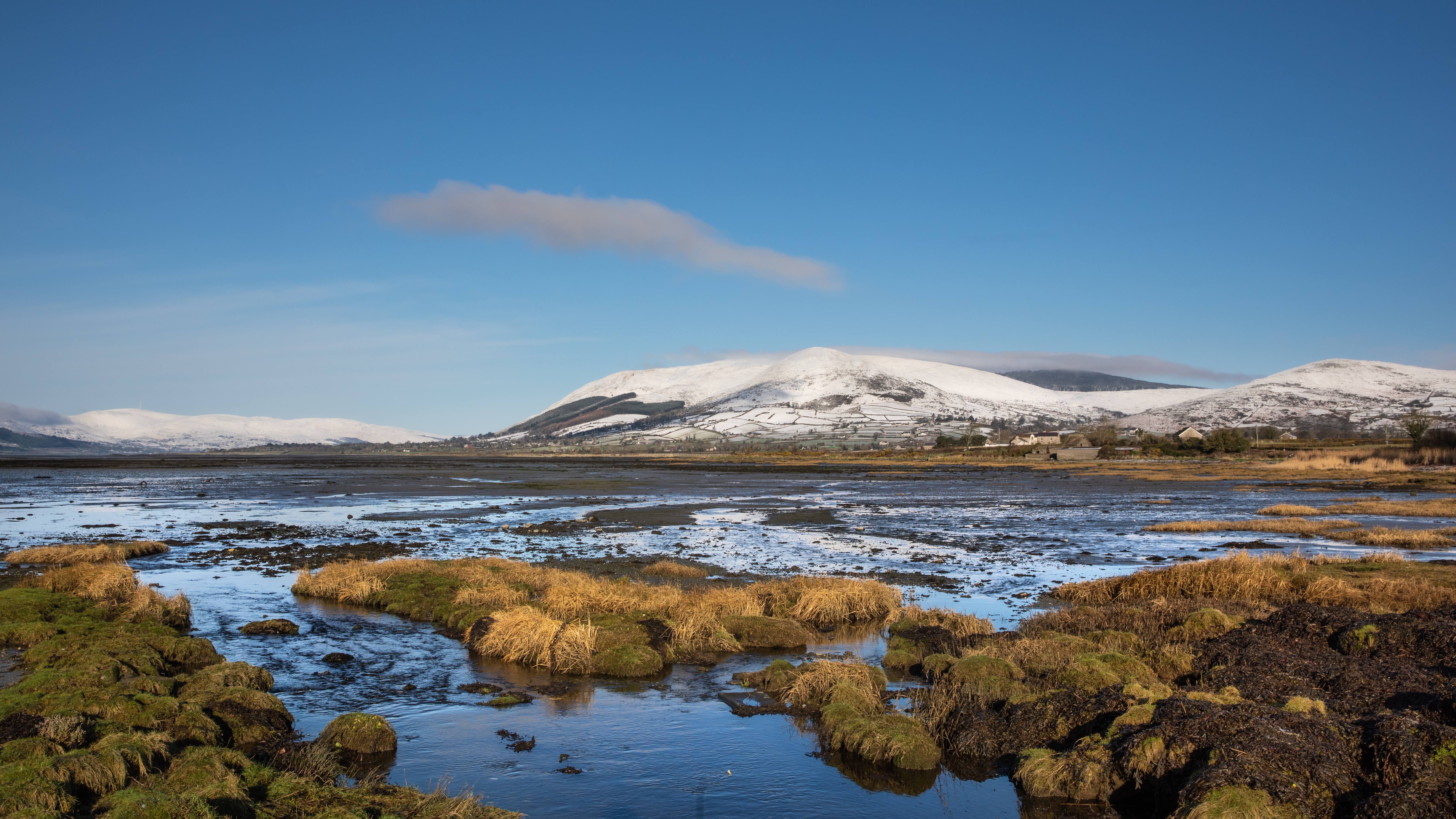 GuruShots - Nature March 2026