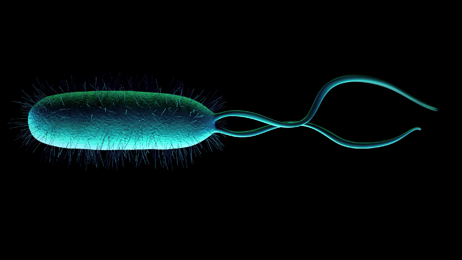 If life can exist in your stomach, it can exist on Mars. Here's what it might look like.