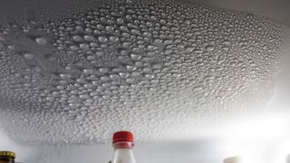 picture of condensation droplets on inside of fridge