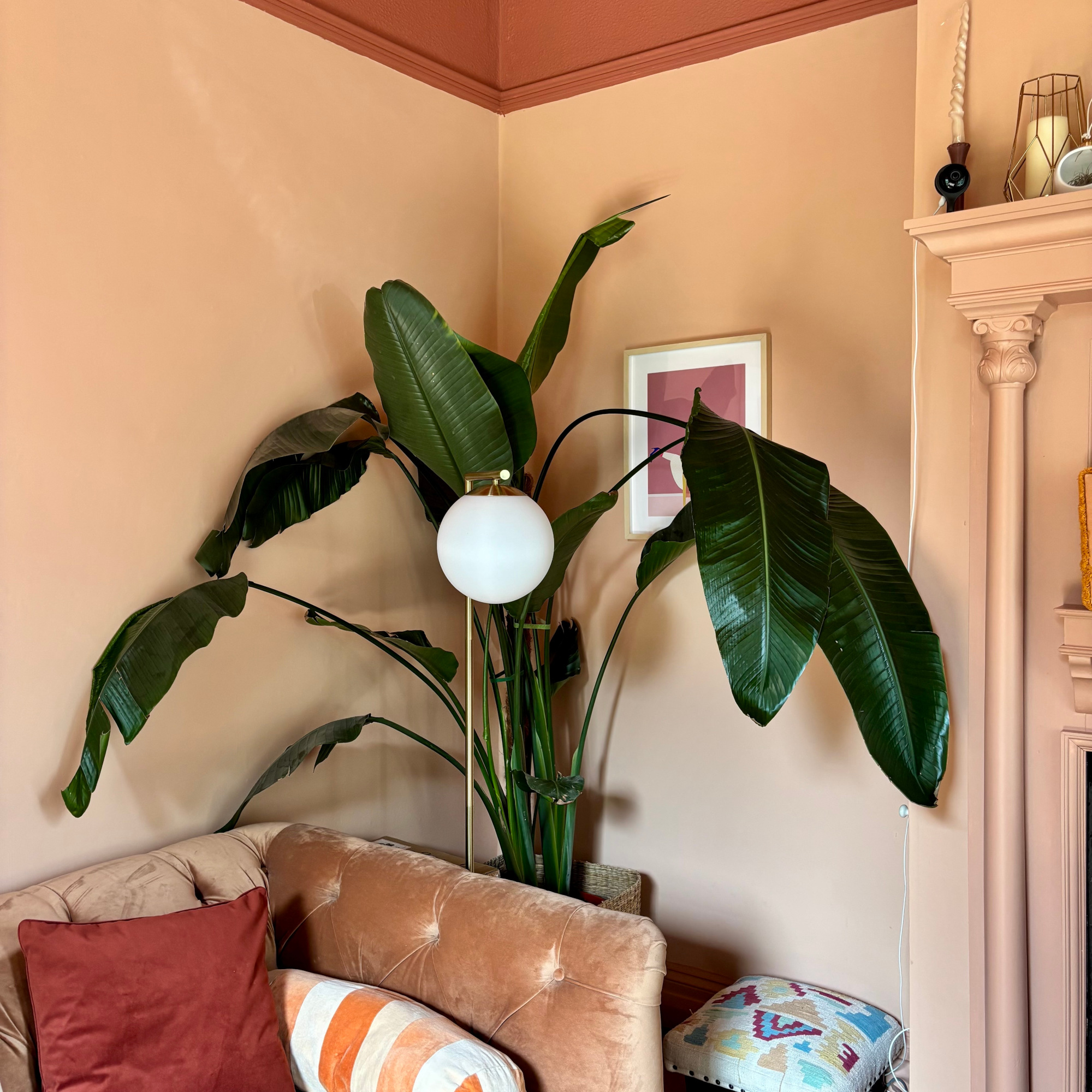 large bird of paradise in a terracotta and pink living room with globe floor lamp