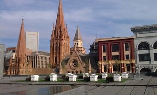 The low-lying rooftops of Melbourne.