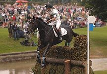 HarryMeade.jpg