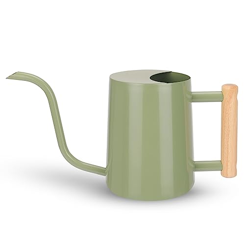 Amazon.com : Cewor Sage Green 35 Oz Metal Watering Can With Long Spout for Indoor & Outdoor Plants : Patio, Lawn & Garden