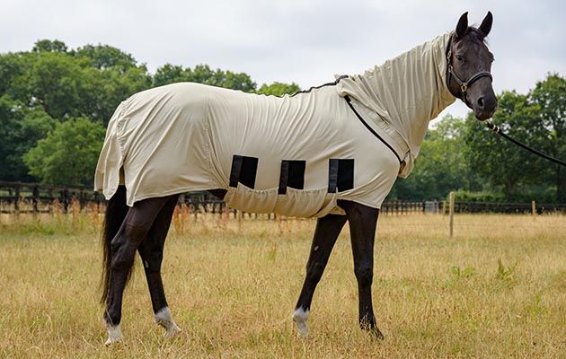 Snuggy Hoods Bug Body Fly Rug review