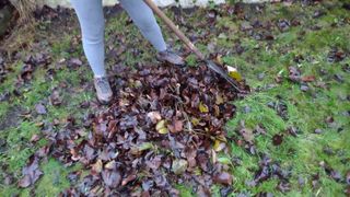 Gathering up leaves with rake