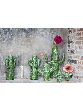 cactus vases