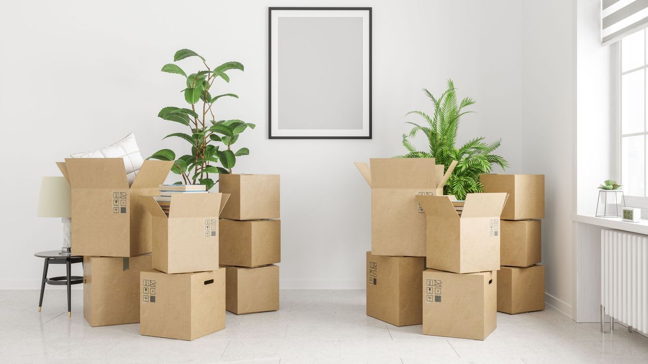 Moving boxes stacked in living room