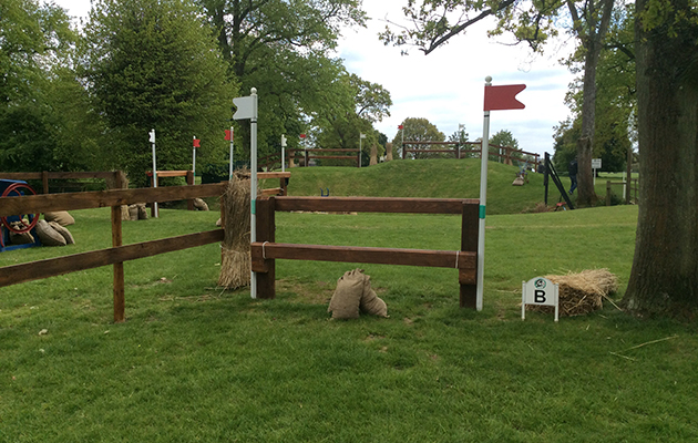 Badminton Fences 2017