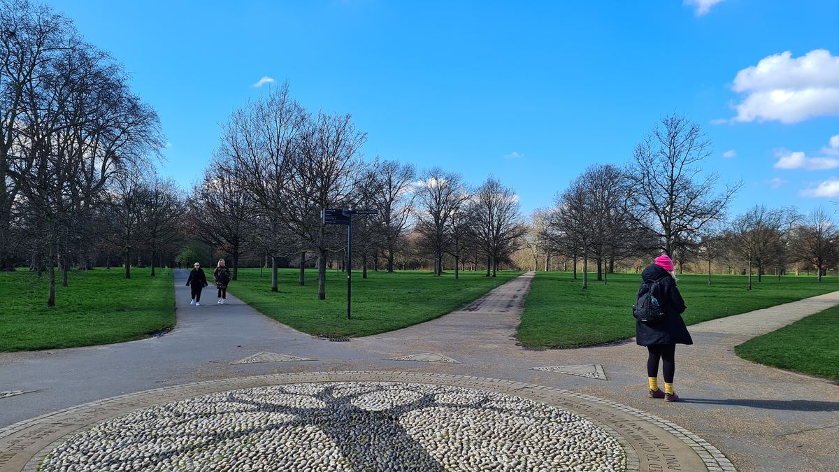 An automatic mode shot on the Samsung Galaxy S20