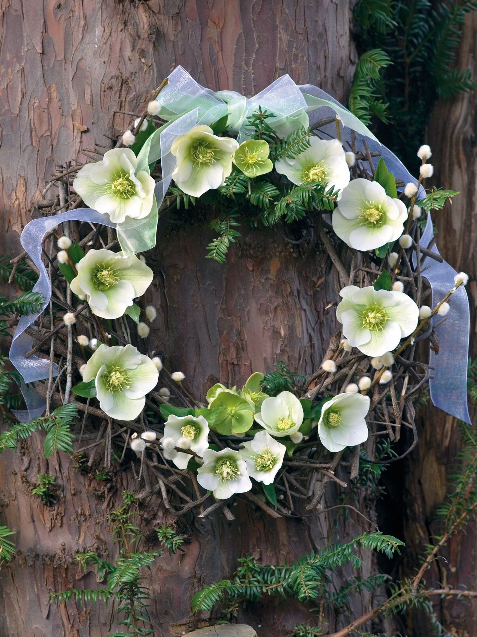 Winter wreath on tree featuring woodland hellebores and pussy willow