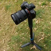 3 Legged Thing Trent 2.0