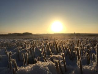 Sunset over a frosty field