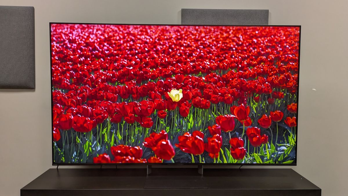 Sony Bravia 9 II with red flowers on screen showing its vivid colors