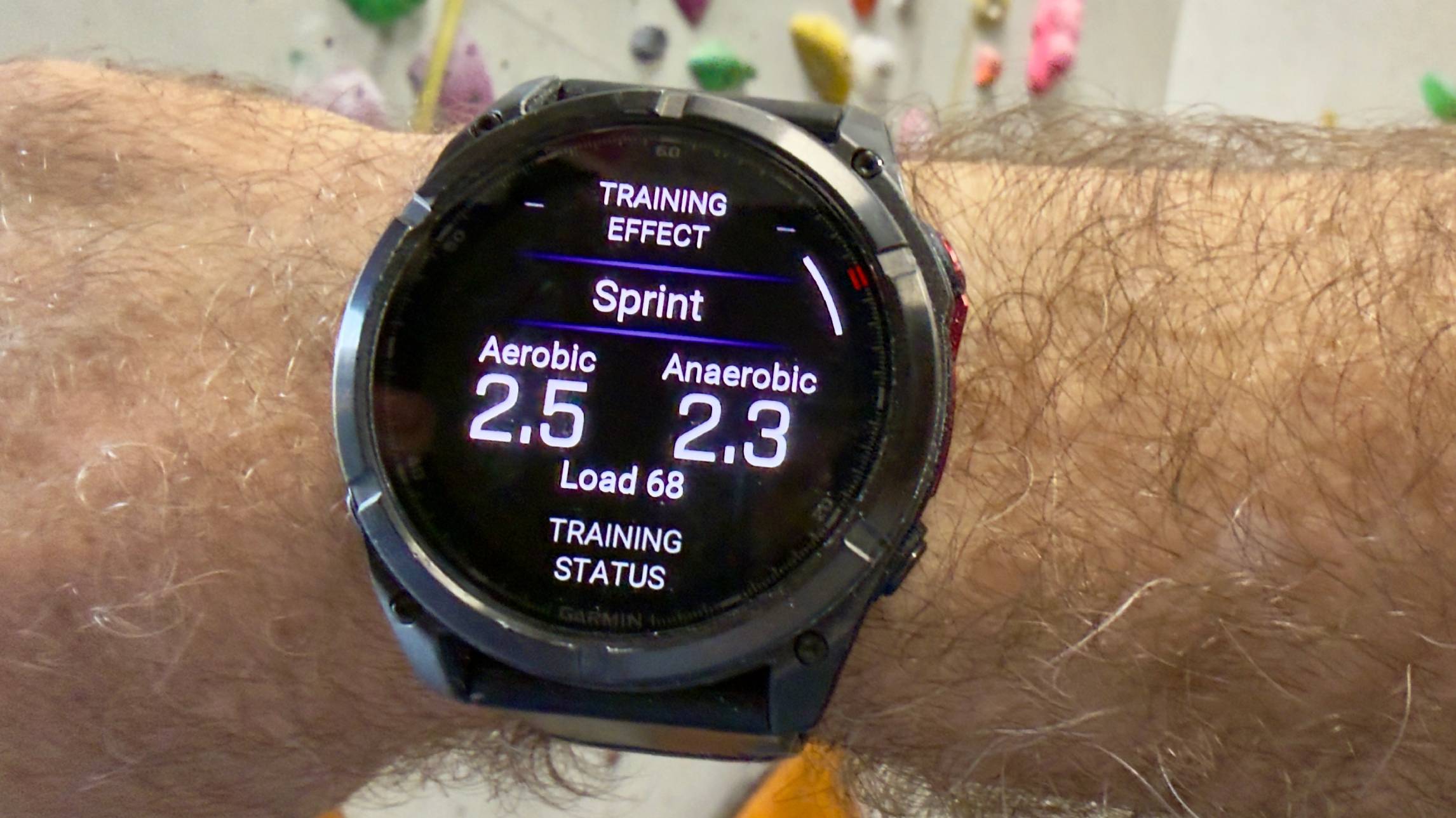 Garmin Fenix 8 Pro