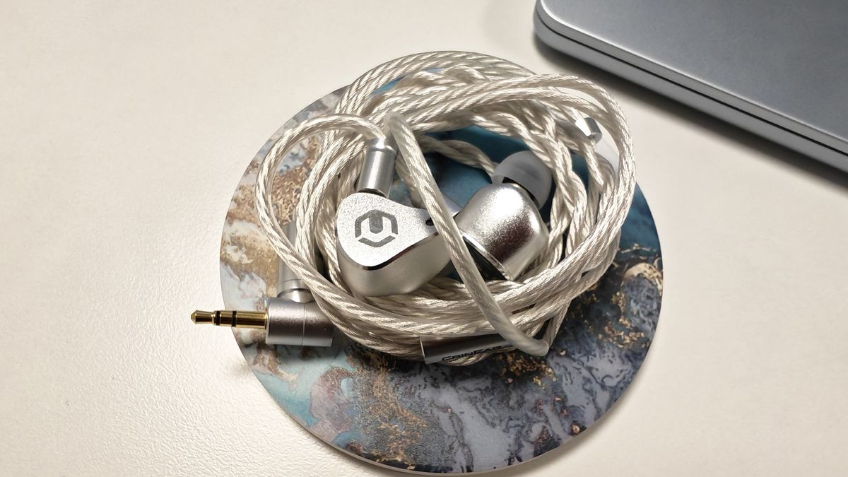 The CrinEar Reference IEM.