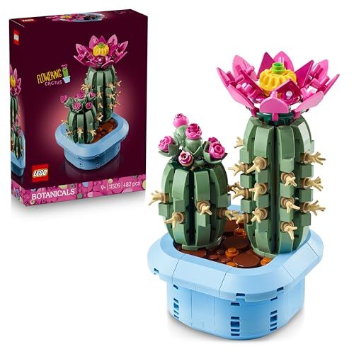 Flowering Cactus 11509